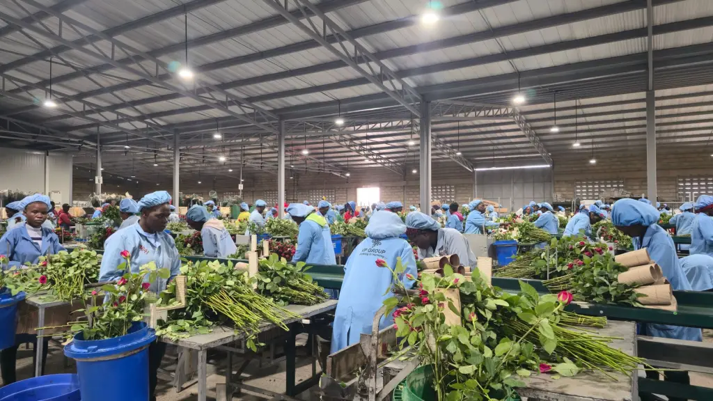 浴室架与置物架材质对比：不锈钢与碳钢的防潮性能分析