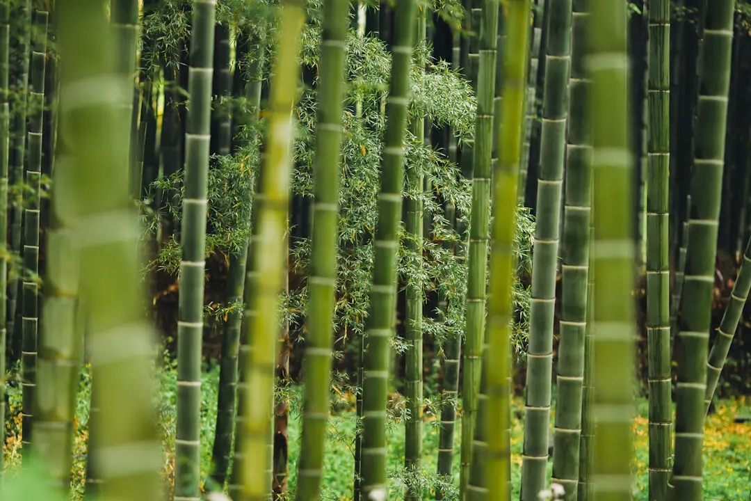 瑞霖达家居收纳箱与置物架组合方案：打造小户型整洁空间