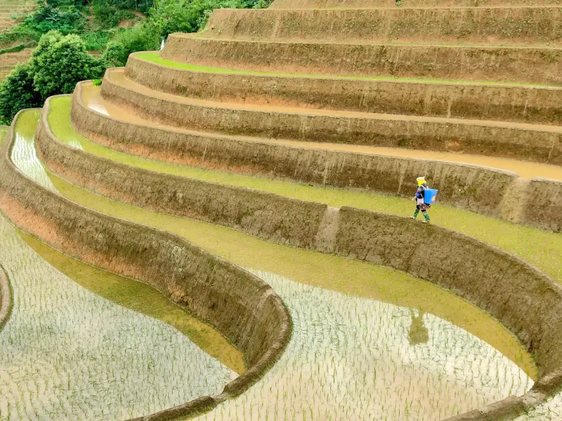 家居收纳行业观察：收纳箱与置物架材料工艺的迭代趋势分析